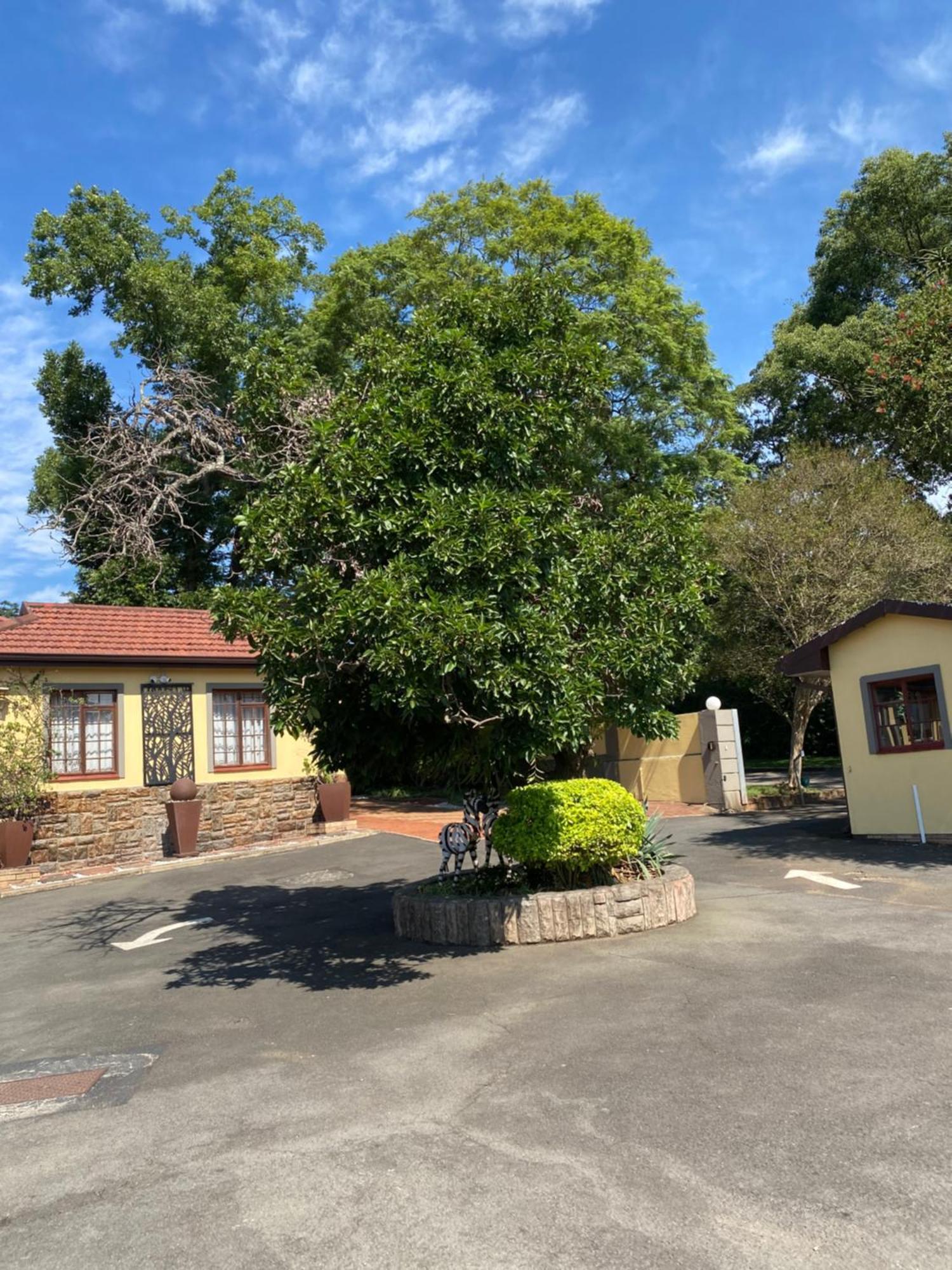 Madlula'S Guesthouse Pietermaritzburg Ngoại thất bức ảnh