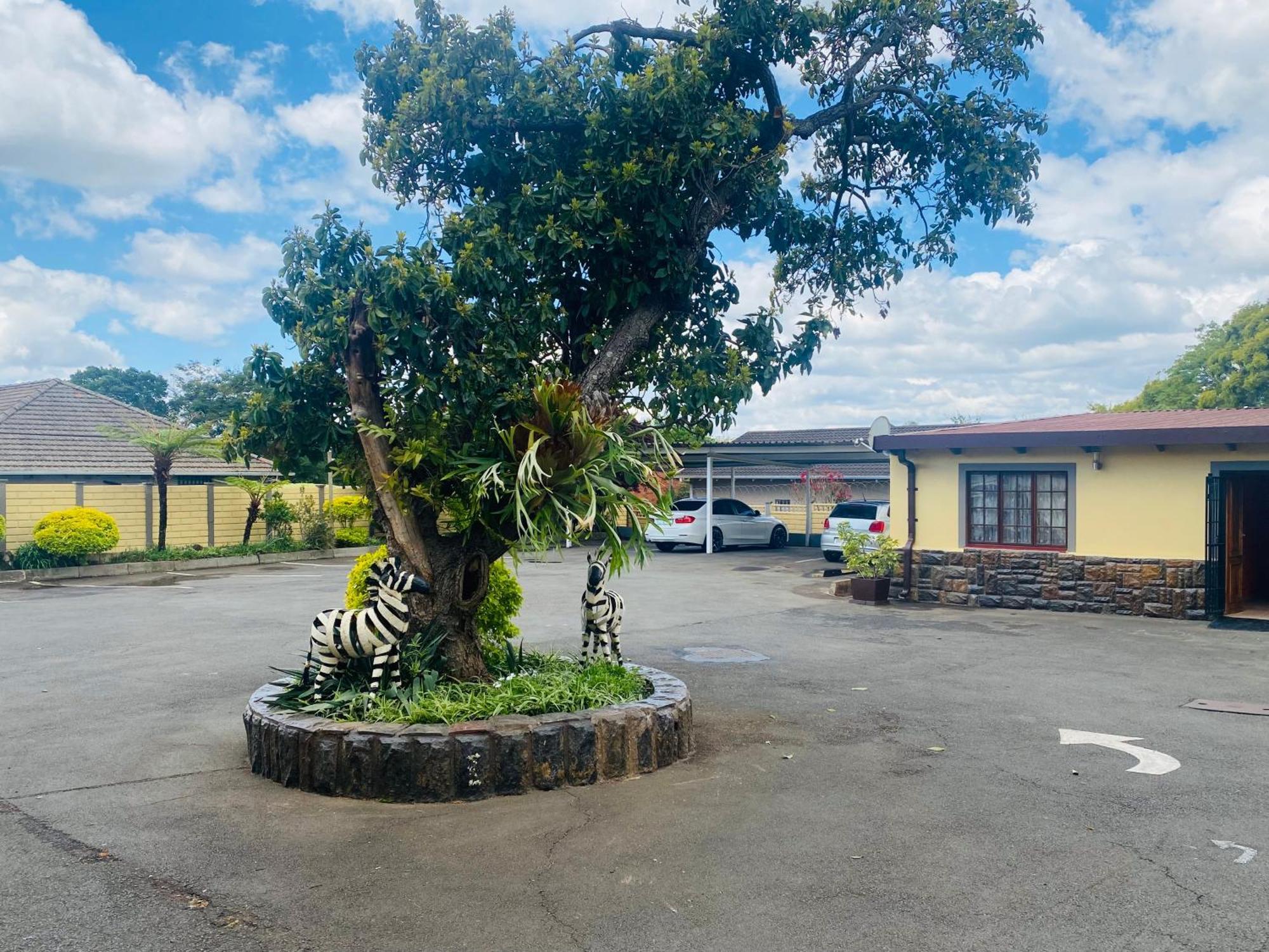 Madlula'S Guesthouse Pietermaritzburg Ngoại thất bức ảnh